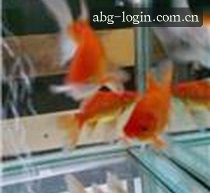 孙阳
